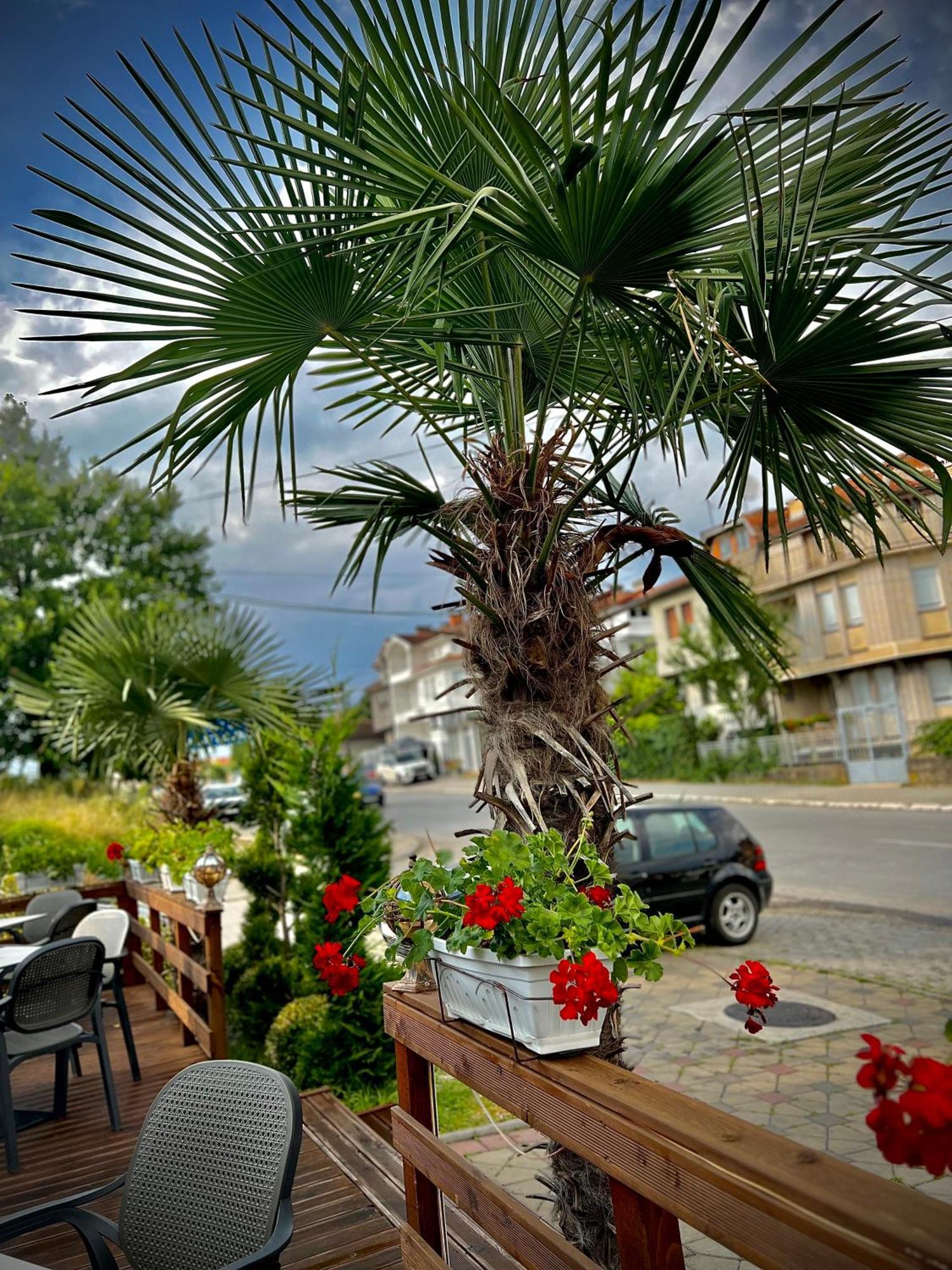Conti Hotel & Restaurant Gjakova Eksteriør billede
